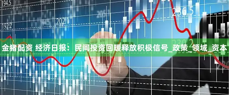 金猪配资 经济日报：民间投资回暖释放积极信号_政策_领域_资本