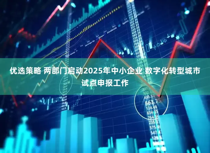 优选策略 两部门启动2025年中小企业 数字化转型城市试点申报工作