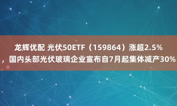 龙辉优配 光伏50ETF（159864）涨超2.5%，国内头部光伏玻璃企业宣布自7月起集体减产30%