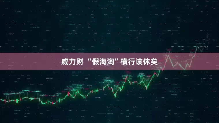 威力财 “假海淘”横行该休矣