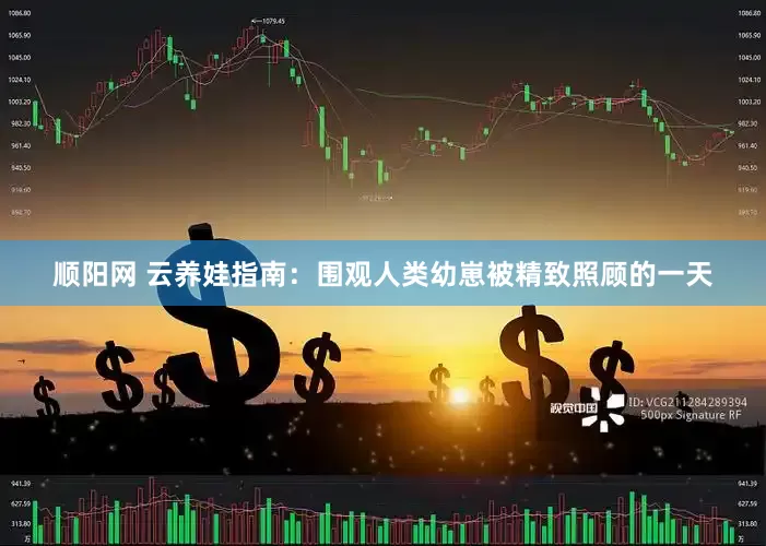 顺阳网 云养娃指南：围观人类幼崽被精致照顾的一天